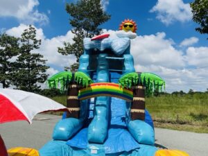 cbb9ee7e5f998b6bf9c339ea597e3f5b 18 FT Beach Wave Water Slide